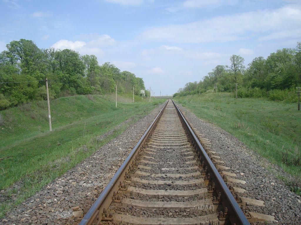 Великі Пузирки з panoramio.com - Великі Пузирки