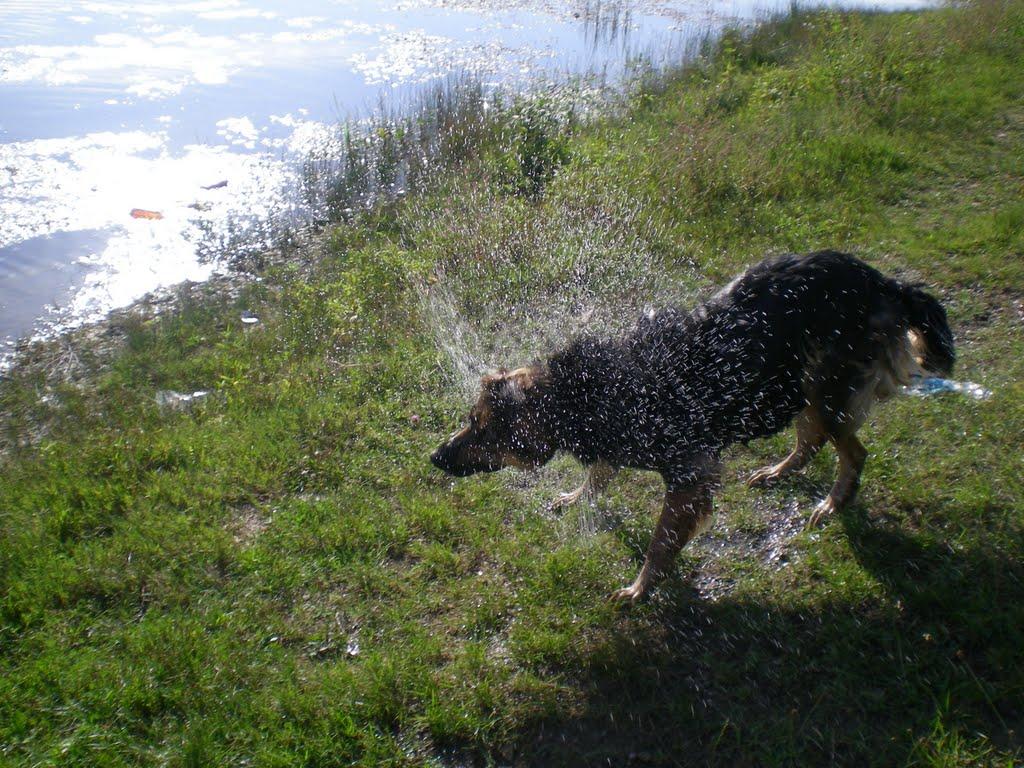 Коломия з panoramio.com - Коломия