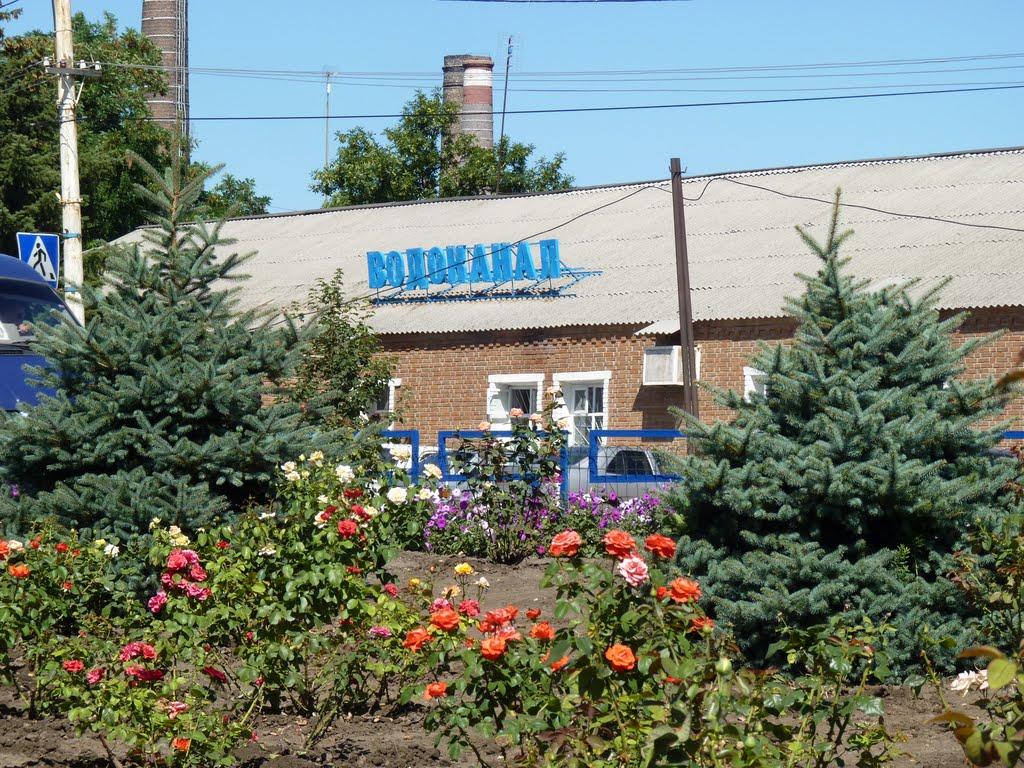 Зимівники з panoramio.com - Зимівники