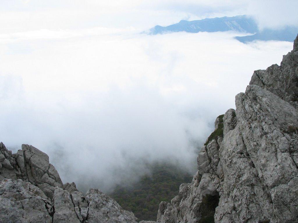 Розовий з panoramio.com (ч.2) - Розовий