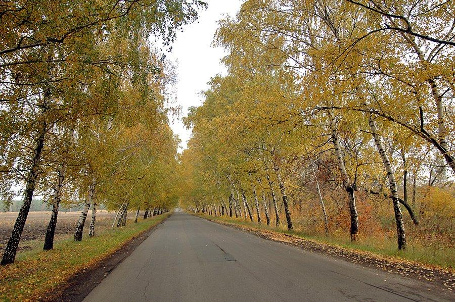 Луганське з panoramio.com (ч.2) - Луганское