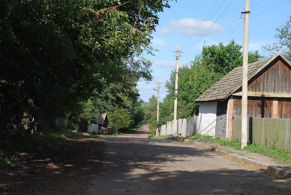 Ждани з panoramio.com - Ждани