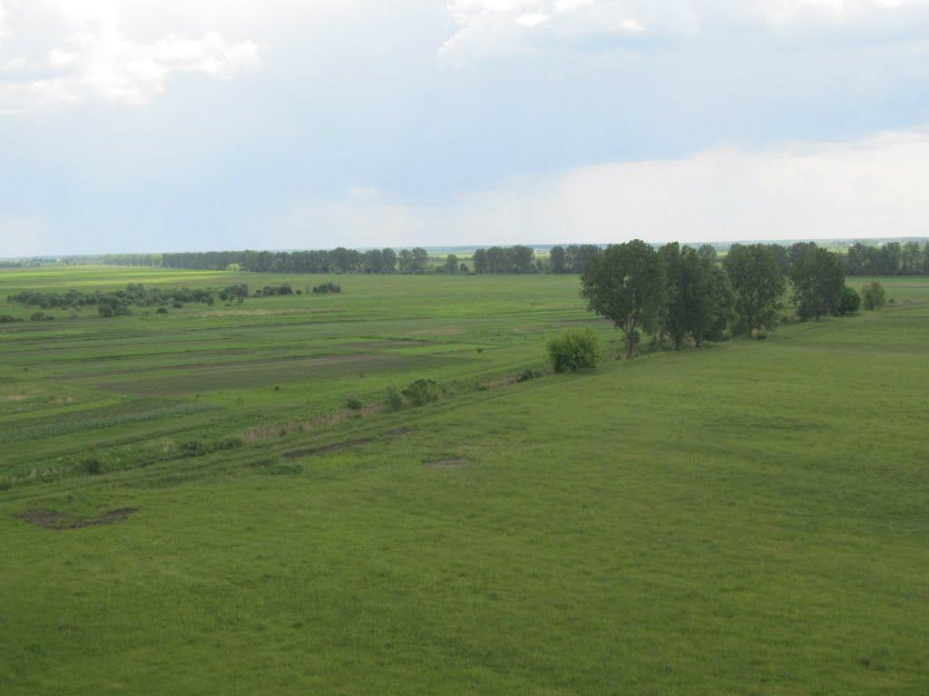 Великі Мости з panoramio.com - Великі Мости