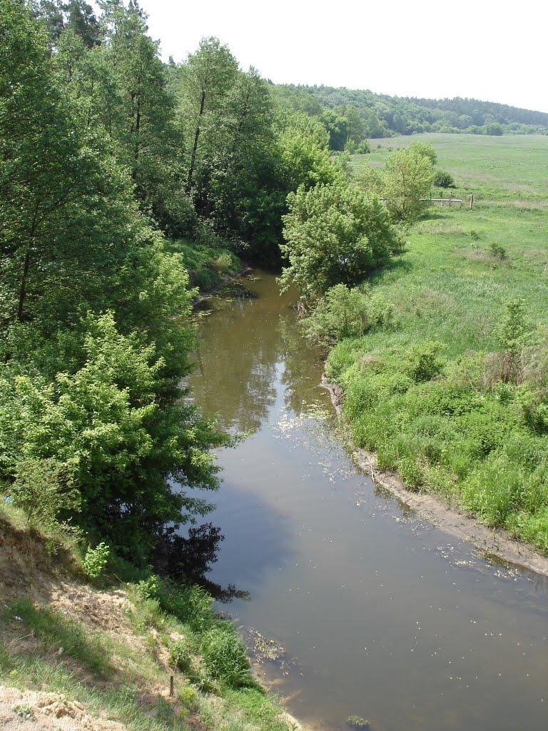 Княжичі з panoramio.com - Княжичі