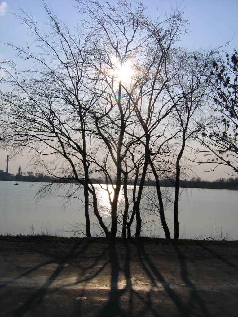 Чупахівка з panoramio.com - Чупахівка