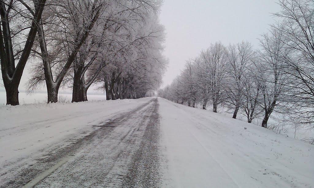 Стрітівка з panoramio.com - Стрітівка