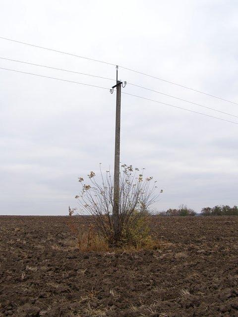 Бабаї з panoramio.com - Бабаи