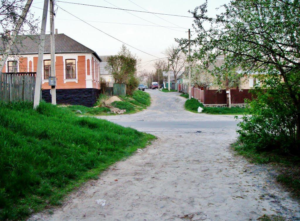 Гудзівка з panoramio.com - Гудзовка