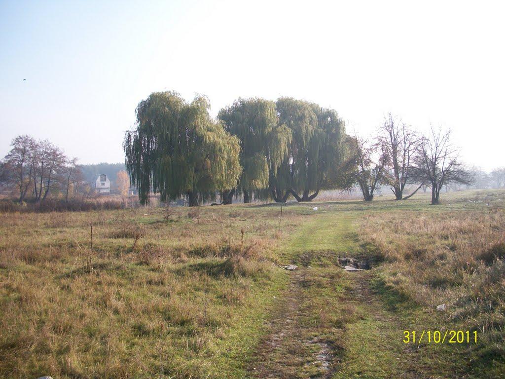 Сєверодонецьк з panoramio.com (ч.3) - Северодонецк