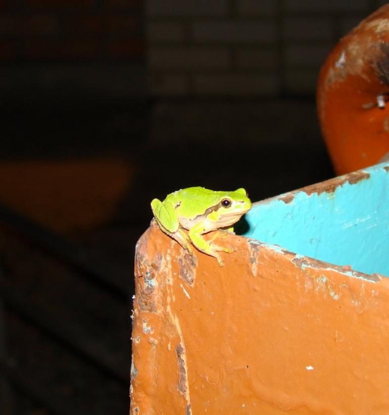 Зрайки з panoramio.com - Зрайки