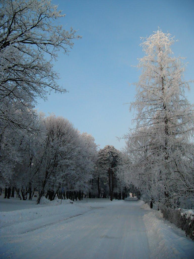 Новоугрузьке з panoramio.com - Новоугрузьке