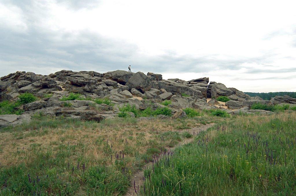 Новопилипівка з panoramio.com - Новопилипівка