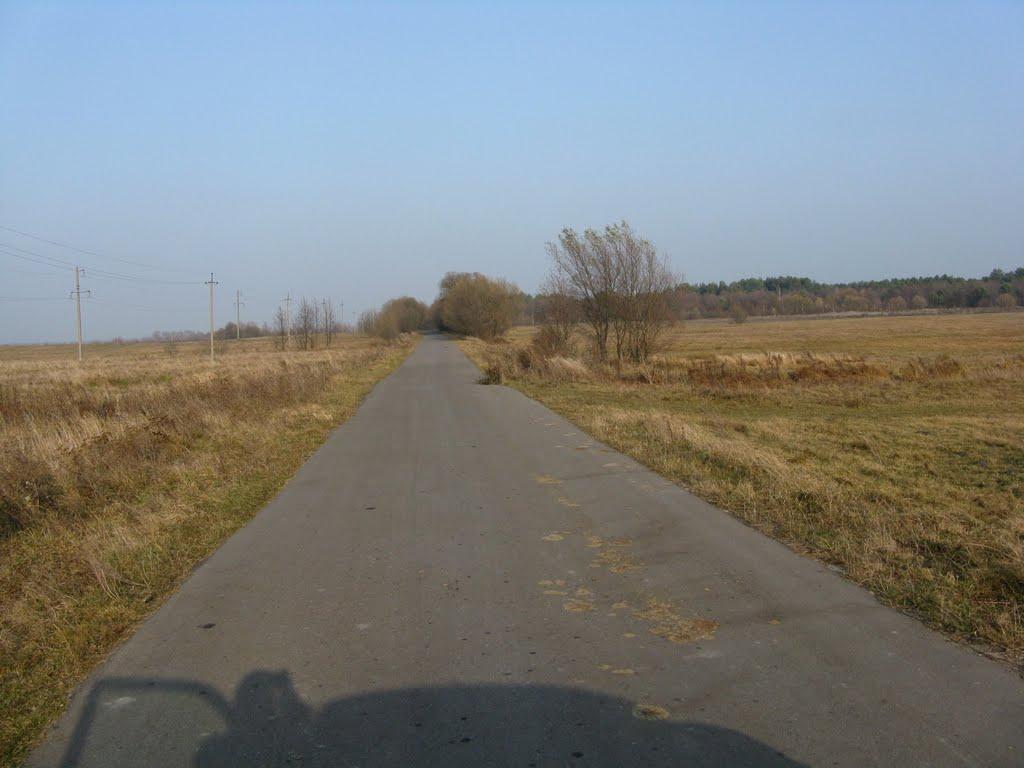 Домашів з panoramio.com - Домашів