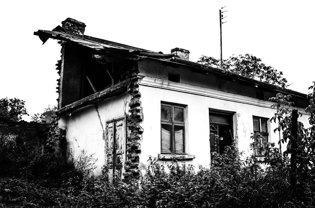 Петриків з panoramio.com (ч.2) - Петриків