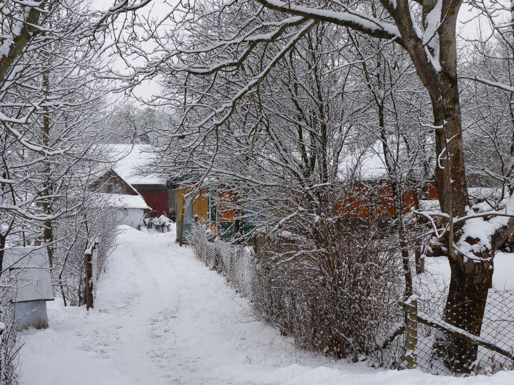 Острів з panoramio.com - Острів