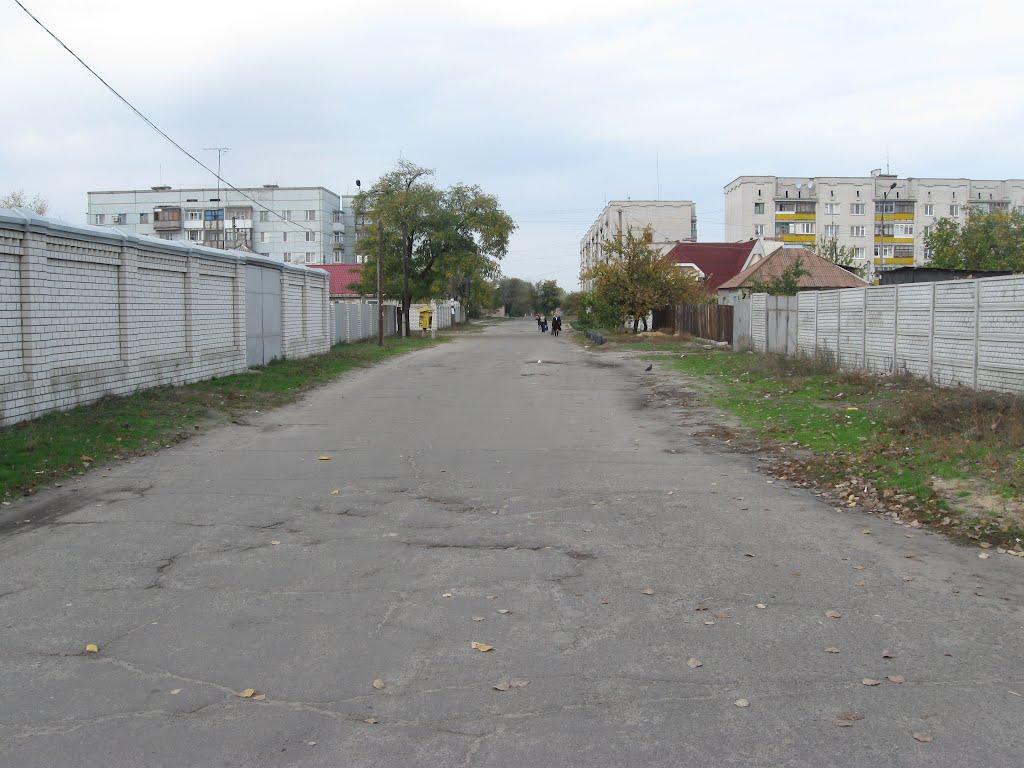 Сєверодонецьк з panoramio.com (ч.3) - Северодонецк