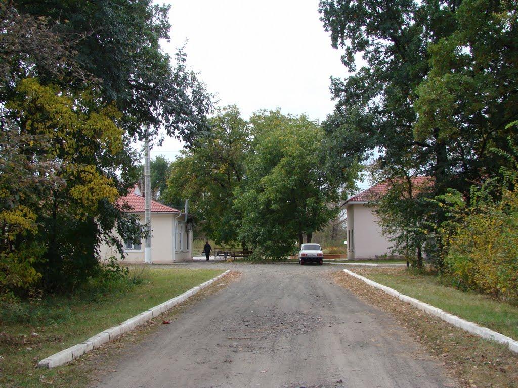 Косарі з panoramio.com (ч.2) - Косари