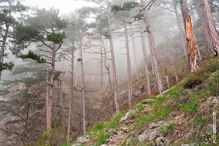 Високогірне з panoramio.com - Високогірне