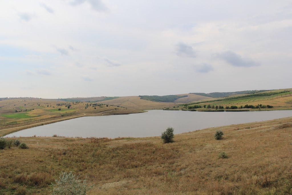 Петрівка з panoramio.com - Петровка
