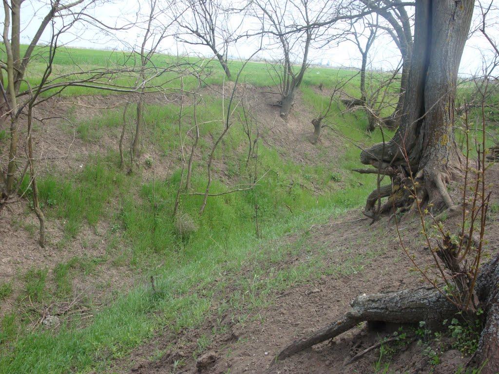 Ізмаїл з panoramio.com (ч.2) - Измаил