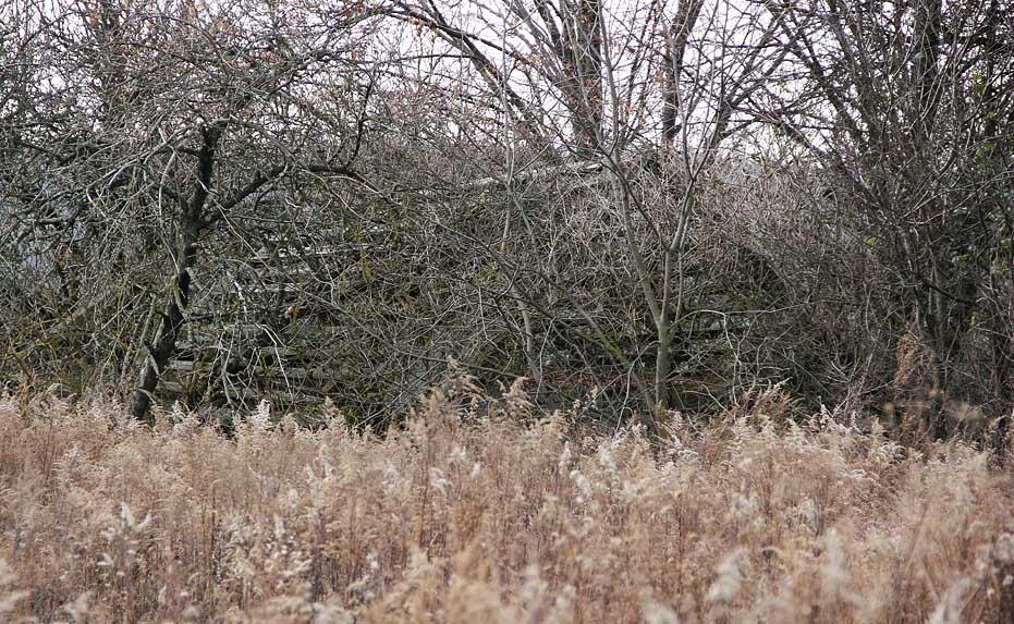 Гнатівка з panoramio.com - Гнатівка