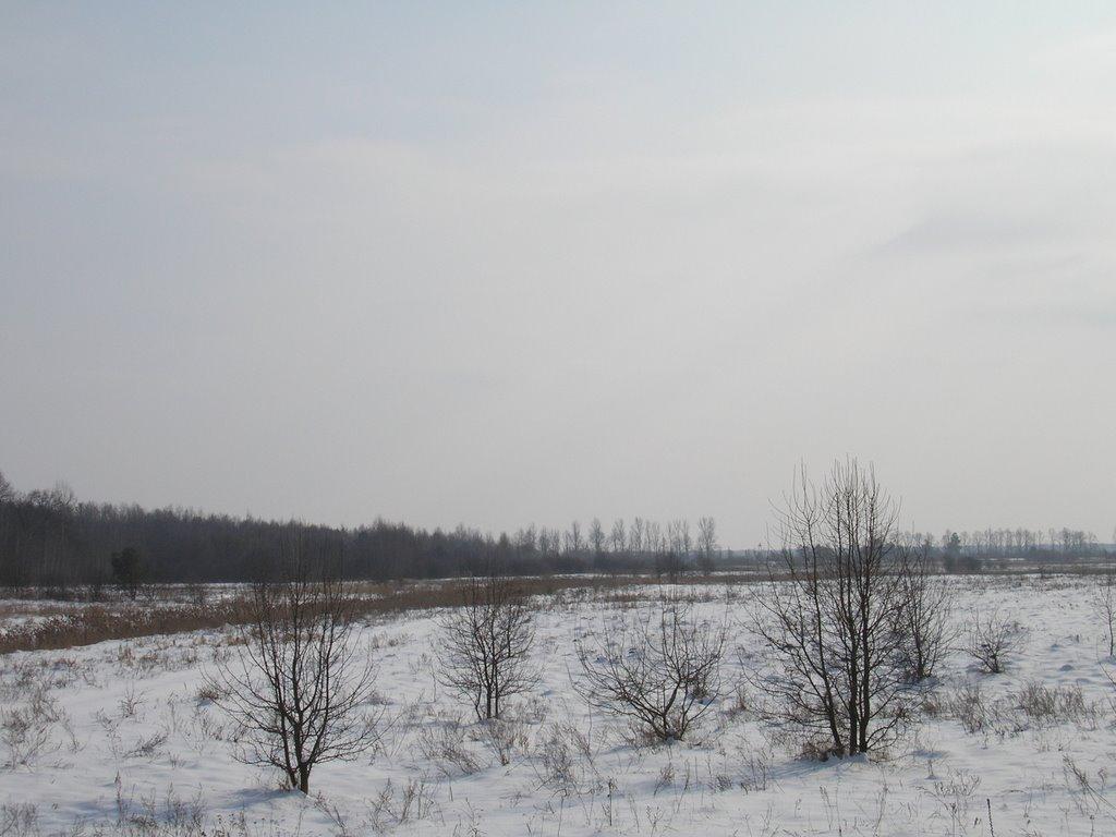 Лисняки з panoramio.com - Лисняки