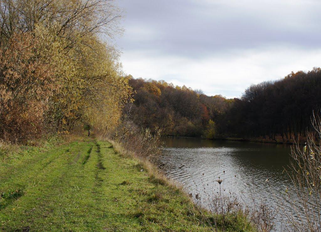 Піщатинці з panoramio.com - Піщатинці