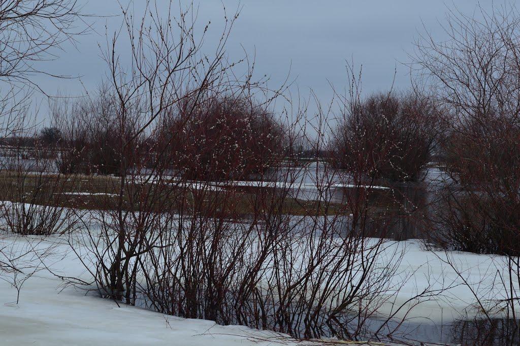 Смородськ з panoramio.com - Смородськ