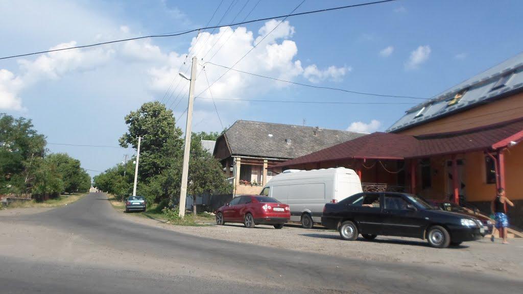 Великі Береги з panoramio.com - Великі Береги