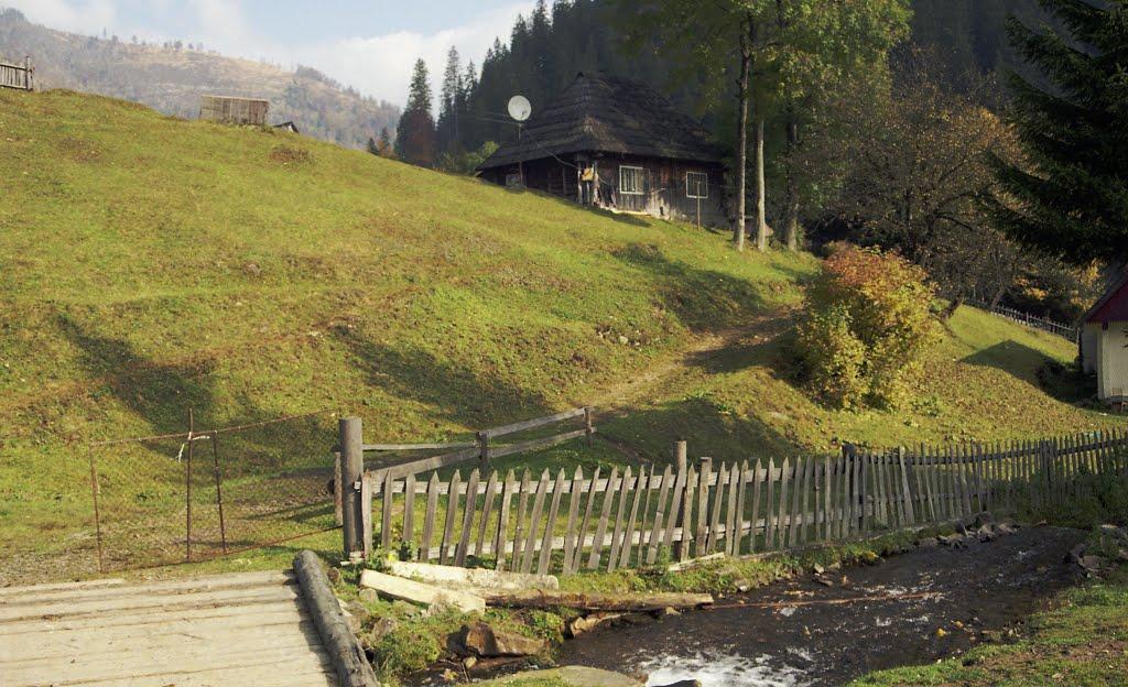 Синевирська Поляна з panoramio.com - Синевирська Поляна