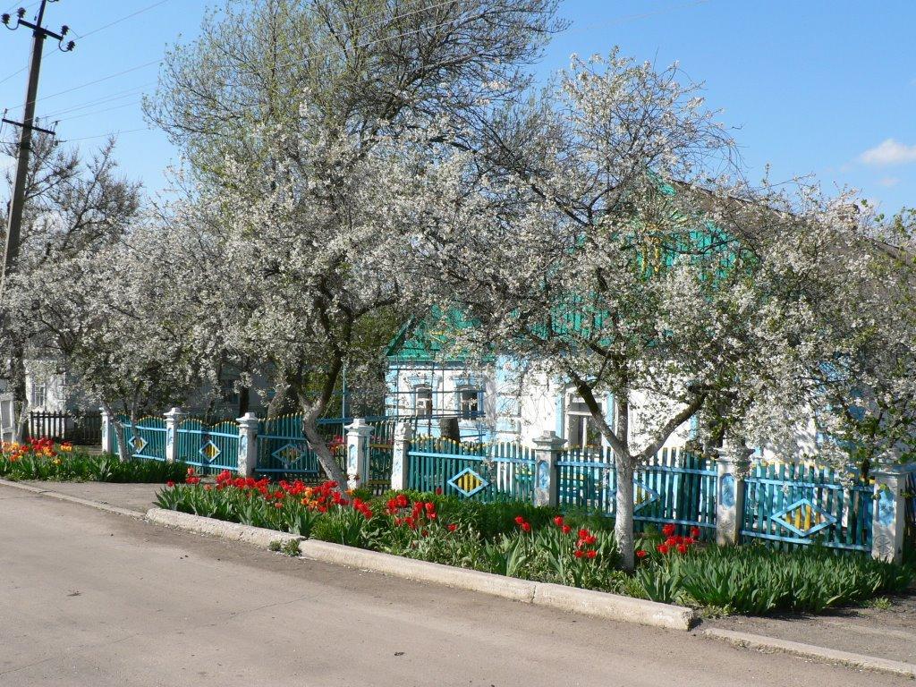 Осипенко з panoramio.com - Осипенко