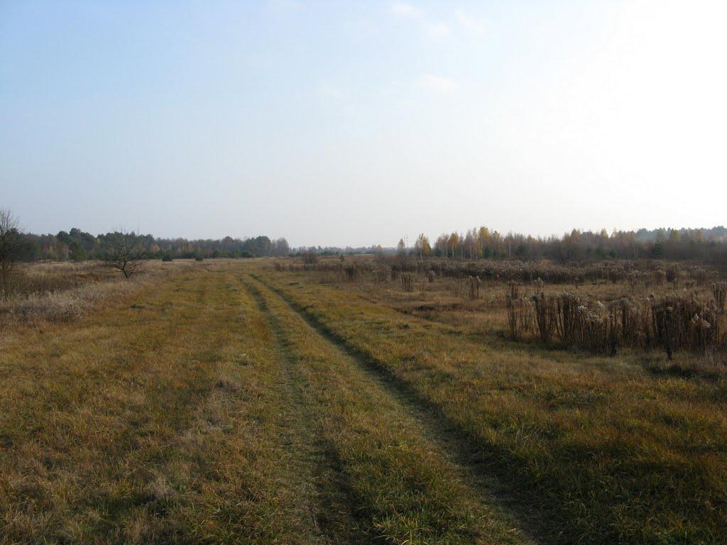 Домашів з panoramio.com - Домашів