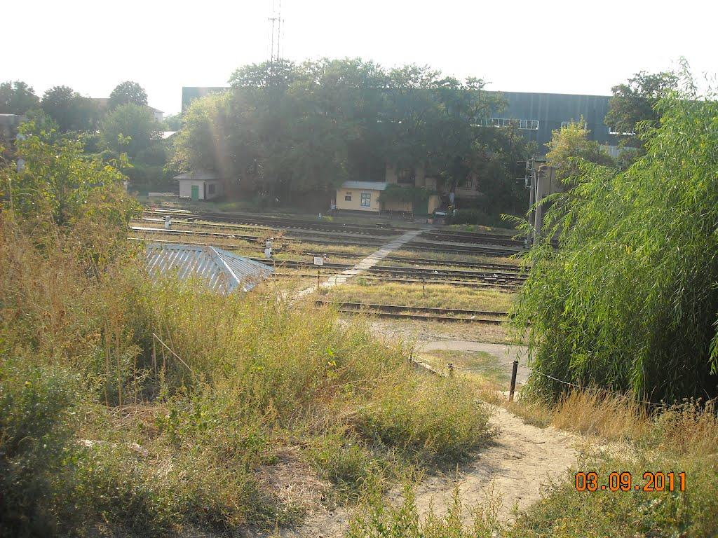 Серпневе з panoramio.com - Серпневе