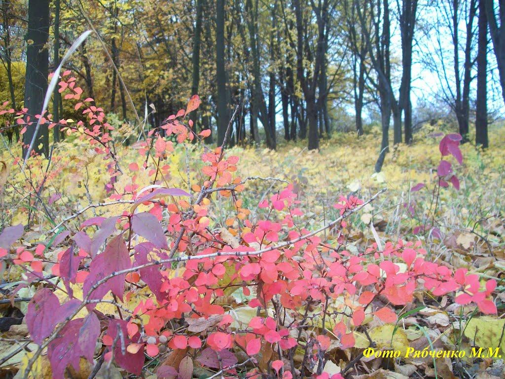 Стайки з panoramio.com - Стайки