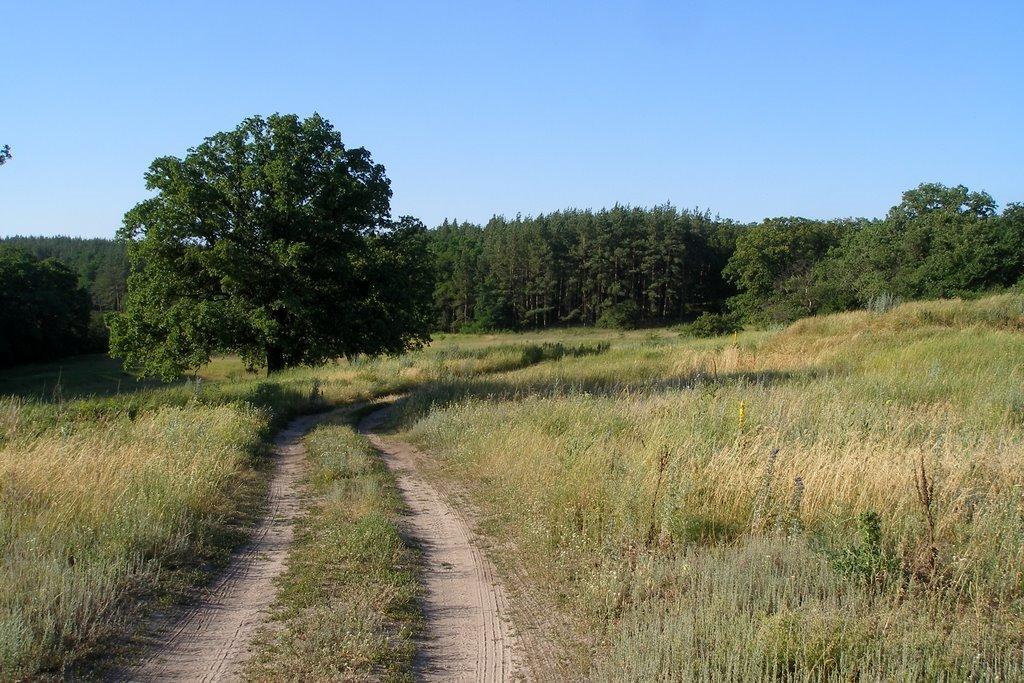 Суровцівка з panoramio.com - Суровцівка