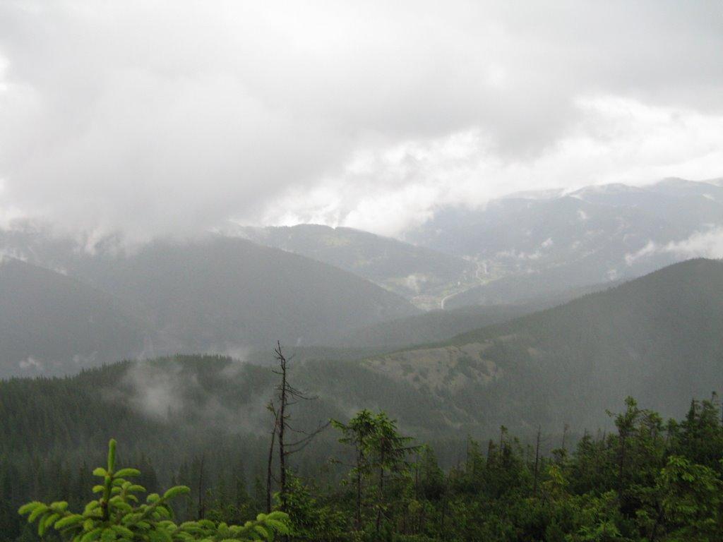 Паляниця з panoramio.com (ч.4) - Паляниця
