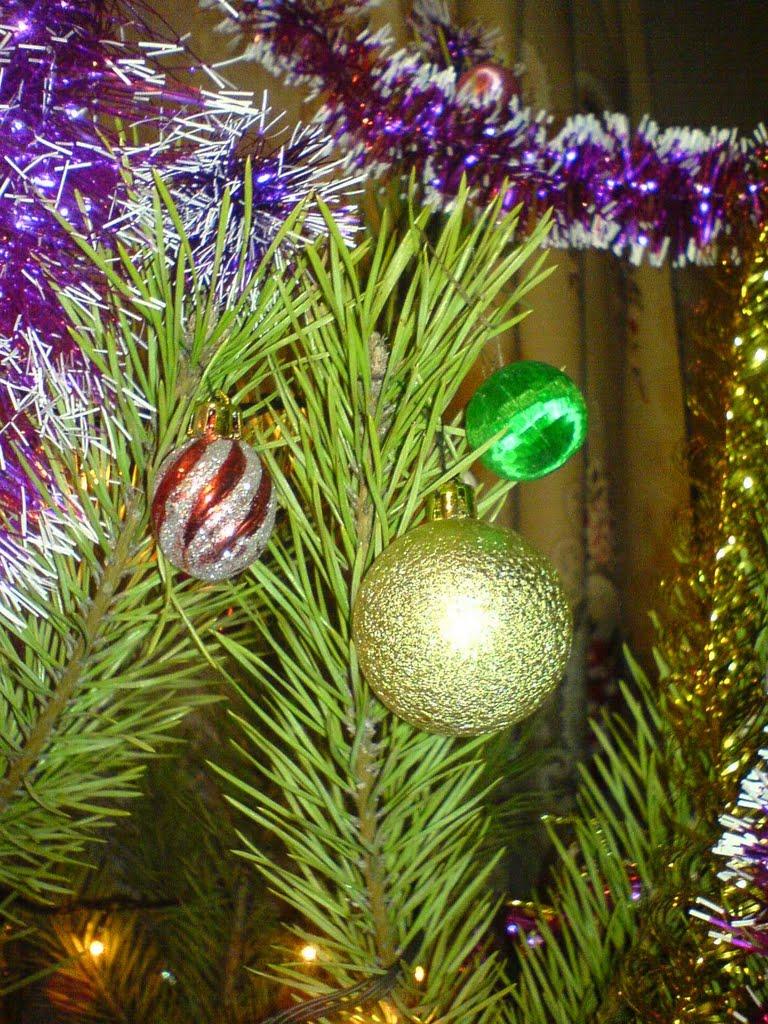 Дубовець з panoramio.com - Дубовець