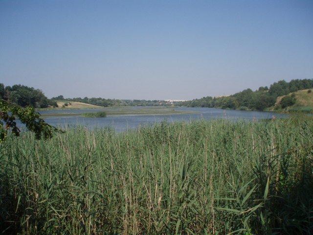 Борсків з panoramio.com - Борсків