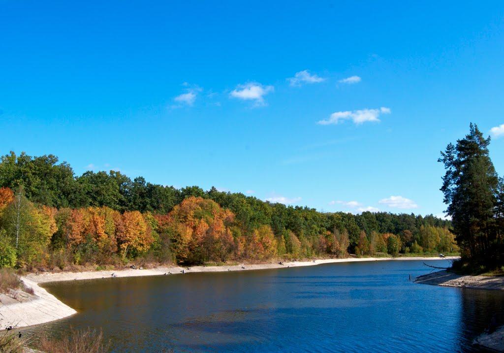 Буки з panoramio.com - Буки