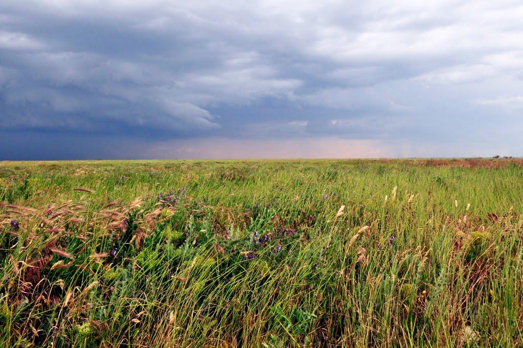 Хорли з panoramio.com - Хорли