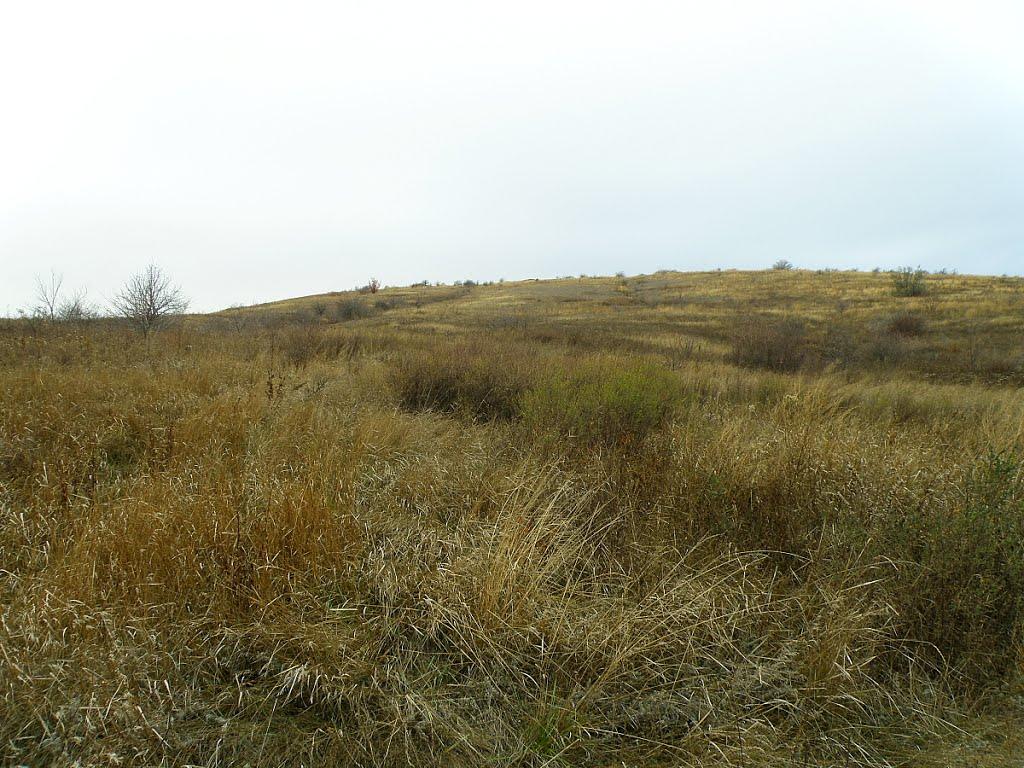 Кружилівка з panoramio.com - Кружилівка