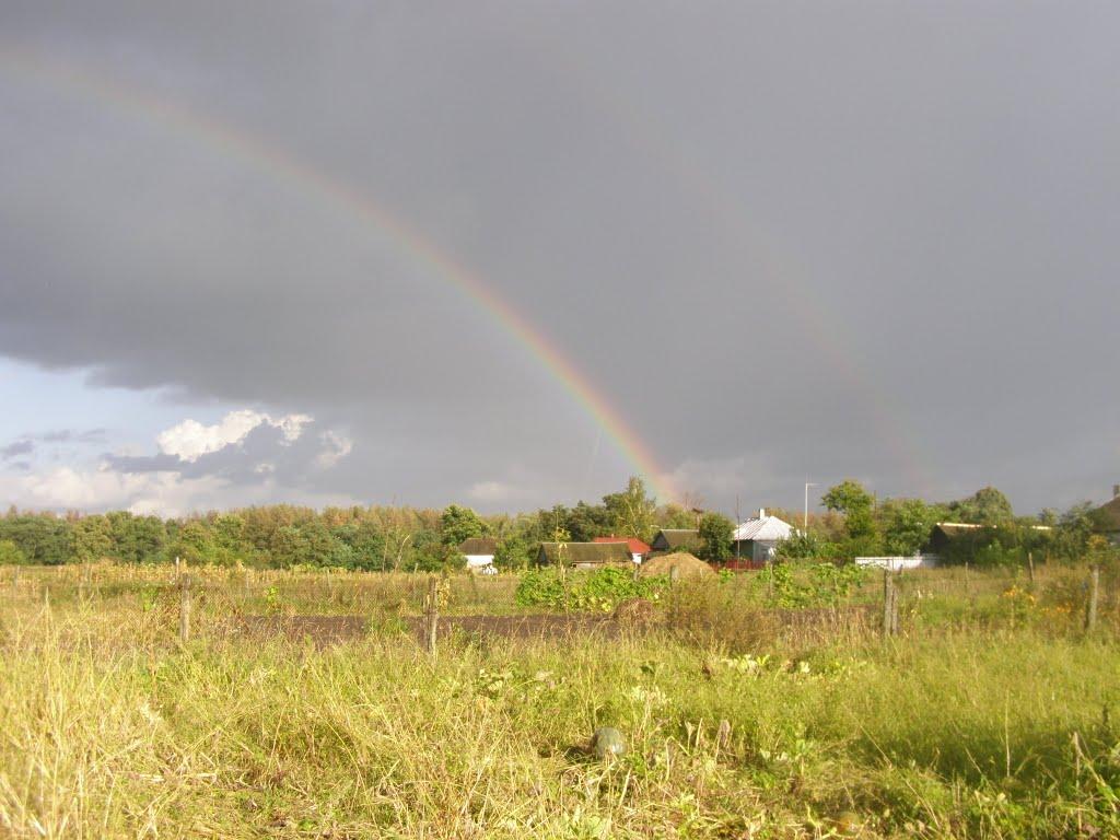 Борсуків з panoramio.com - Борсуків