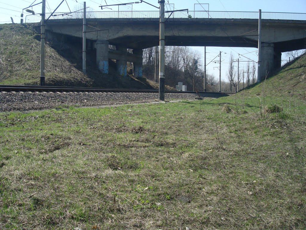 Чапаєвка з panoramio.com - Малі Коростівці