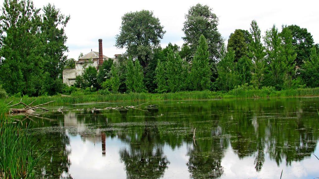 Пониква з panoramio.com - Пониква