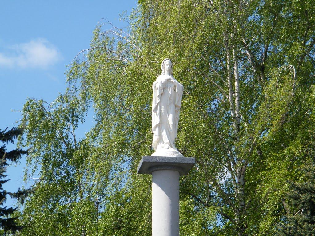 Рівне з panoramio.com (ч.5) - Ровно