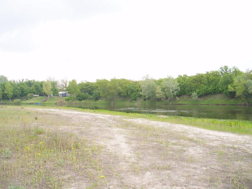 Станично-Луганське з panoramio.com (ч.2) - Станично-Луганское
