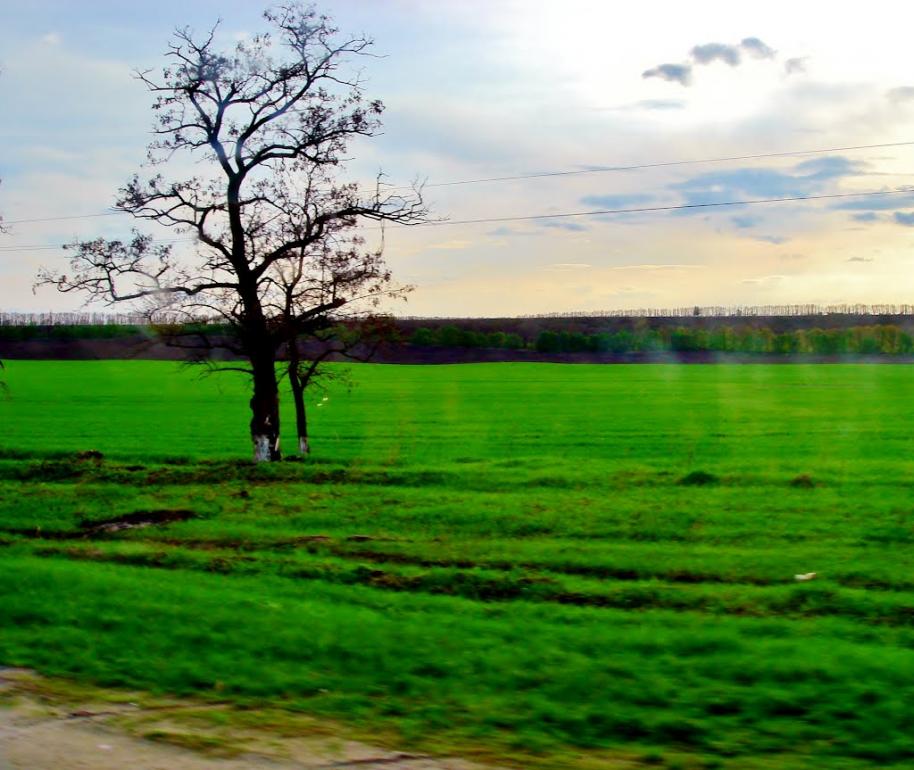 Неморож з panoramio.com - Неморож