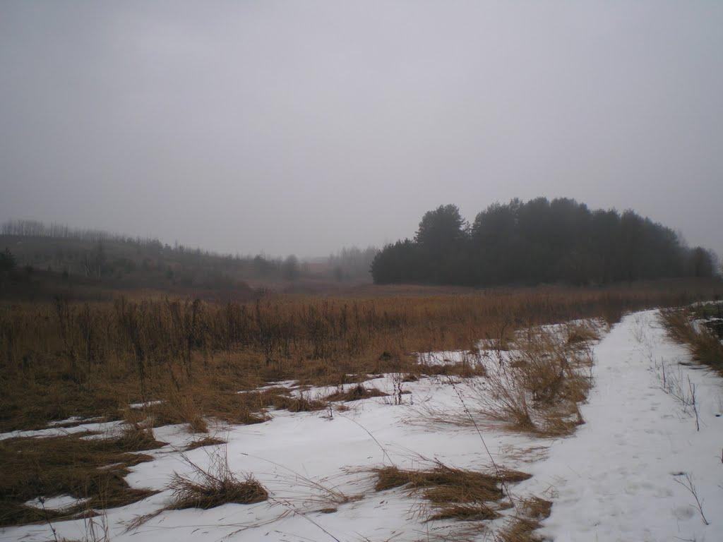 Махаринці з panoramio.com - Makharyntsi