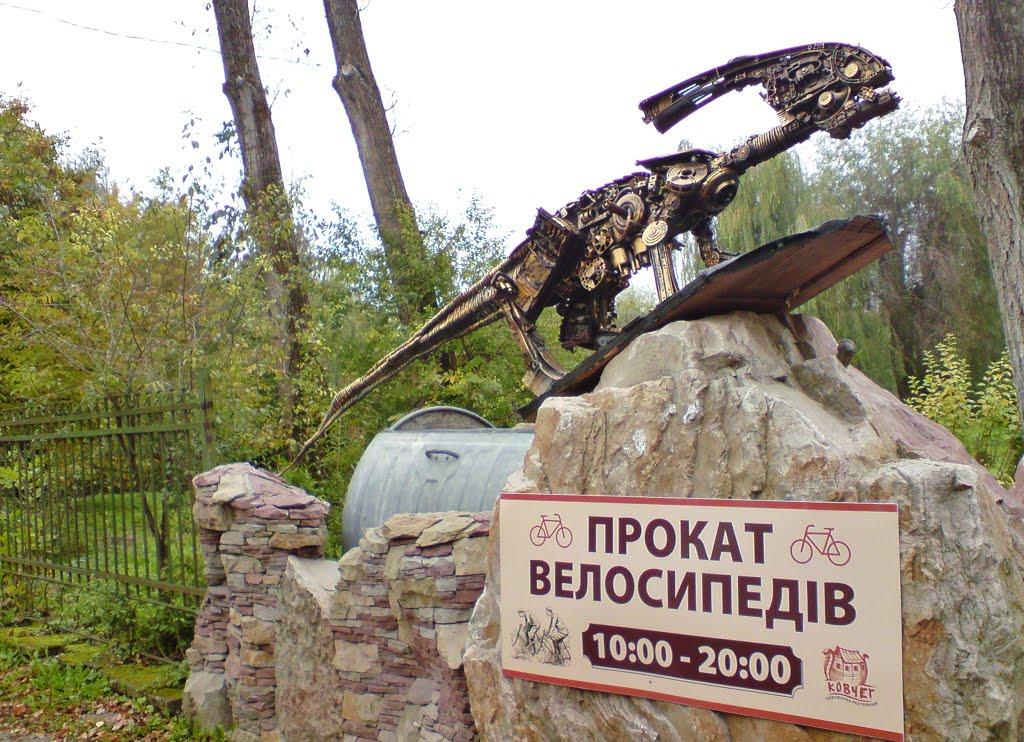 Петриків з panoramio.com (ч.2) - Петриків