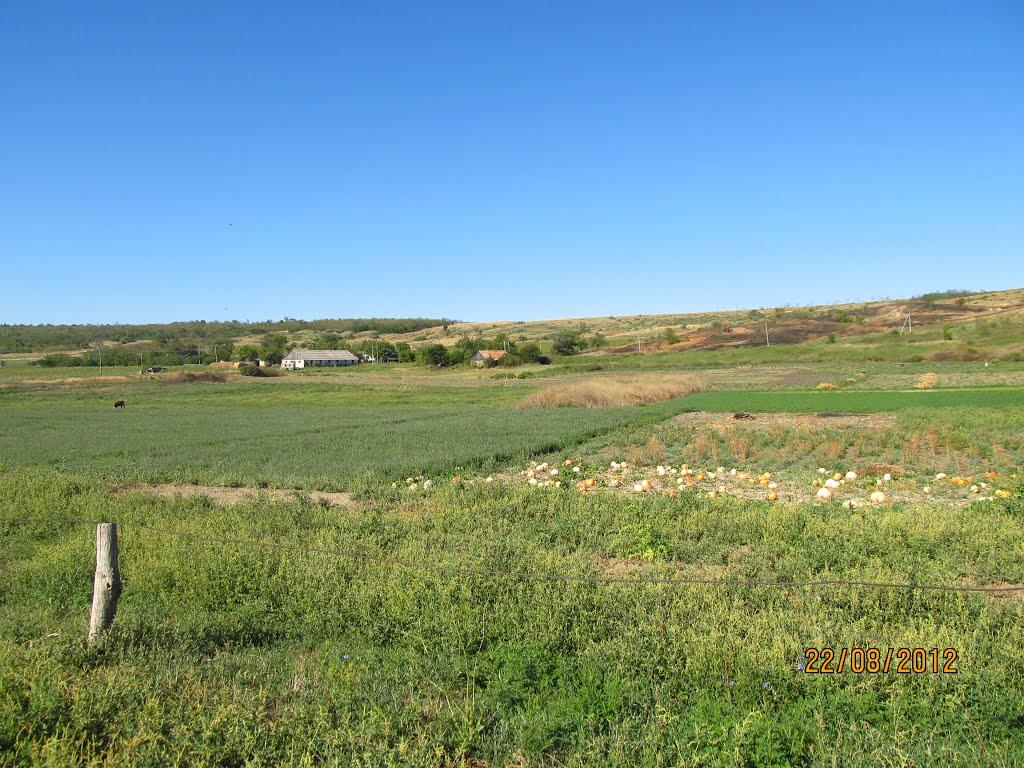 Старобогданівка з panoramio.com - Старобогданівка